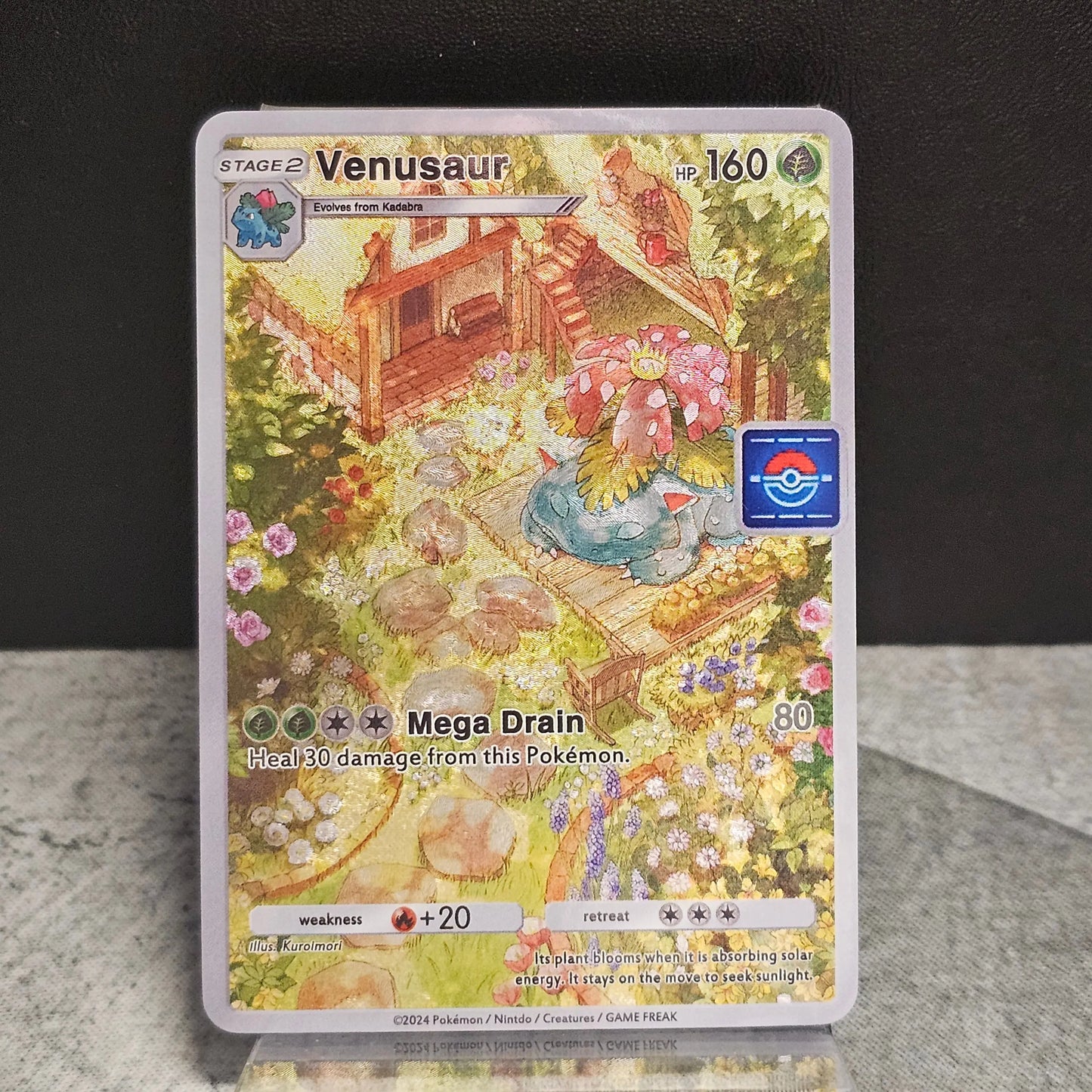 PTCG Poke Pocket Cards My Store